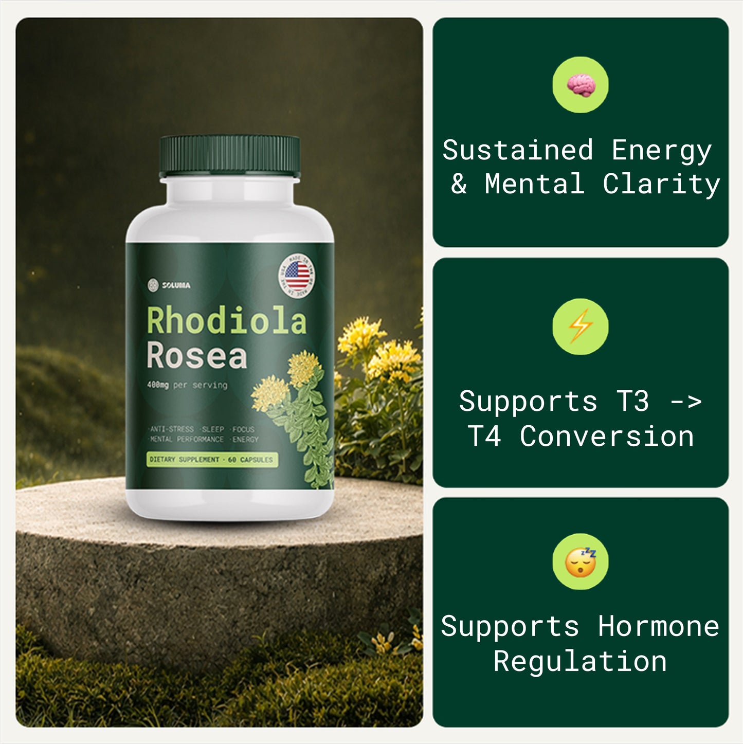 Rhodiola Rosea - Natural Adaptogen Made in USA